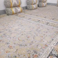 قالی|فرش|زاهدان, |دیوار