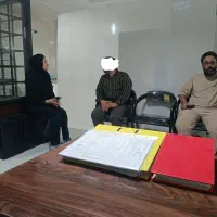 طوطی اوپلاین لوتینو مولد جوجه جفت قفس نر ماده|پرنده|مشهد, دانشجو|دیوار