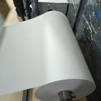 پخش کاغذ سابلیمیشن (روزنامه باطله نو همشهری)|عمدهفروشی|تهران, نعمتآباد|دیوار