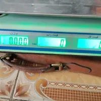 ترازوی ۴۰ کیلویی دکمه اسطیل شارژی وبرقی