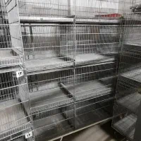 قفس حرفه ای قناری|لوازم جانبی حیوانات|آران و بیدگل, |دیوار