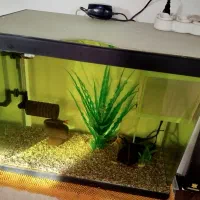 اکواریوم همراه وسایل