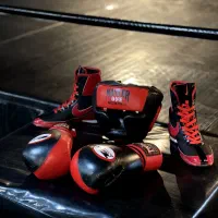 دستکش بوکس، محافظ لثه، کفش بوکس، کلاه بوکس|تجهیزات ورزشی|شیراز, قدوسی شرقی|دیوار