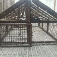 قفس