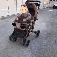 کالسکه دلیجان مدل بنیتا دو ماه بیشتر استفاده نشده