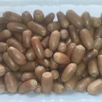 بلوط خشک درشت|لوازم جانبی حیوانات|قدس, شهرقدس|دیوار