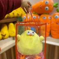 پک کادوئی|اسباببازی|قم, شاه احمد قاسم|دیوار