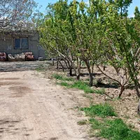 شهریار بکه باغچه سنددار عالی سرمایه گذاری