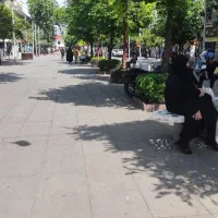 فروشنده جانبی موبایل شهرداری