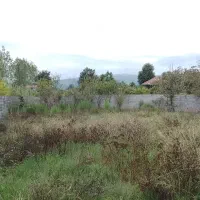 250مترزمین مسکونی با پروانه100متری شاندرمن زیبا .|فروش زمین و ملک کلنگی|شاندرمن, |دیوار