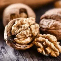 توزیع و فروش نهال گردو تولری|خدمات باغبانی و درختکاری|سجاس رود, |دیوار