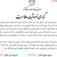 برند علامت تجاری مواد غذایی «ژرمانسیکا»|دفتر کار|تهران, مولوی|دیوار