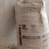 گندم دیم اذردو