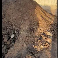 کودپوسیده حیوانی