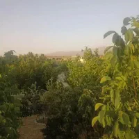 فروش-باغچه-فول-امکانات-در-شهر-خانه-زنیان-خانزنیان