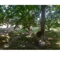 زمین باغ مسکونی جاسب دلیجان نیمور نراق