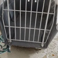 باکس گربه