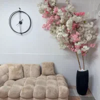 درختچه شکوفه