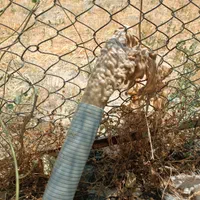 حفاری چاه آب تضمینی|خدمات پیشه و مهارت|ارومیه, |دیوار