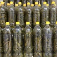 حراج جمعه بازار