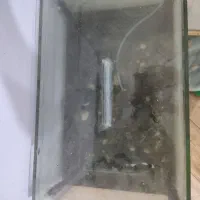 آکواریوم|ماهی|مرودشت, ژیان|دیوار