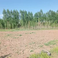 زمین حدود 3500متر