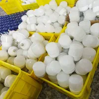 لامپ استوانه