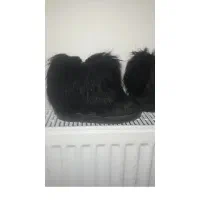 دخترانه|کیف، کفش، کمربند|بروجرد, |دیوار