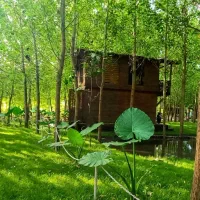 خانه-ای-میان-جنگل-سرمایه-ای-برای-آینده