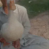 خانه را اجاره بدم