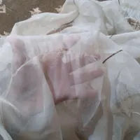 یالان پرده ابشاری یک طرفه مخمل و۱۰ متر پرده تور|پرده، رانر، رومیزی|مشهد, توس|دیوار