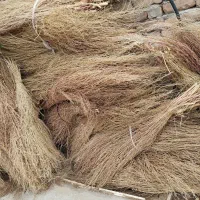جارو محلی