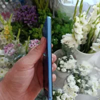 شیائومی یازده پرو Redmi Note 11 Pro 5G|موبایل|ری, دیلمان|دیوار