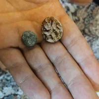 نگین فیروزه فروشی