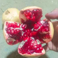 انار درجه یک ملس تفت