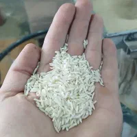 برنج درجه یک کلات