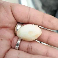 واقعی اصلی