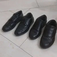 کفش مجلسی سایز ۴۲|کیف، کفش، کمربند|تهران, تهران‌نو|دیوار
