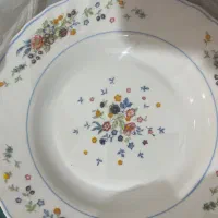 ارکوپال|ظروف سرو و پذیرایی|شیراز, احمدآباد|دیوار