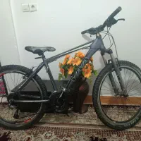 دوچرخه ویوا