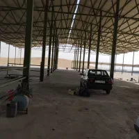 نصب ورق شیروانی وساخت خرپا قوطی|خدمات پیشه و مهارت|تاکستان, |دیوار