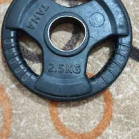 وزنه(صفحه) بدنسازی|تجهیزات ورزشی|سنندج, |دیوار