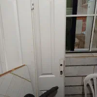 درب ورودی ساختمان|مصالح و تجهیزات ساختمان|تاکستان, |دیوار