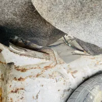 شاستی پلم بدون رنگ|خودرو سواری و وانت|چابهار, |دیوار