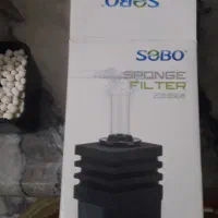 بیوفیلتر سوبو نو|ماهی|بروجرد, |دیوار