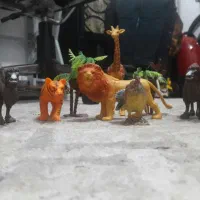 اسباب بازی حیوان