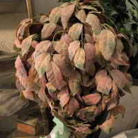 فروش سه عدد گل مصنوعی با گلدان درارتفاع های مختلف