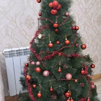 درخت کاج کریسمس