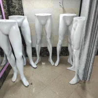 مانکن پا تعداد زیاد