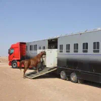 اسبکش حرفه ای وارداتی